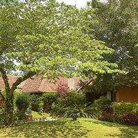 Exterior view | Hoysala Village Resort - Hassan