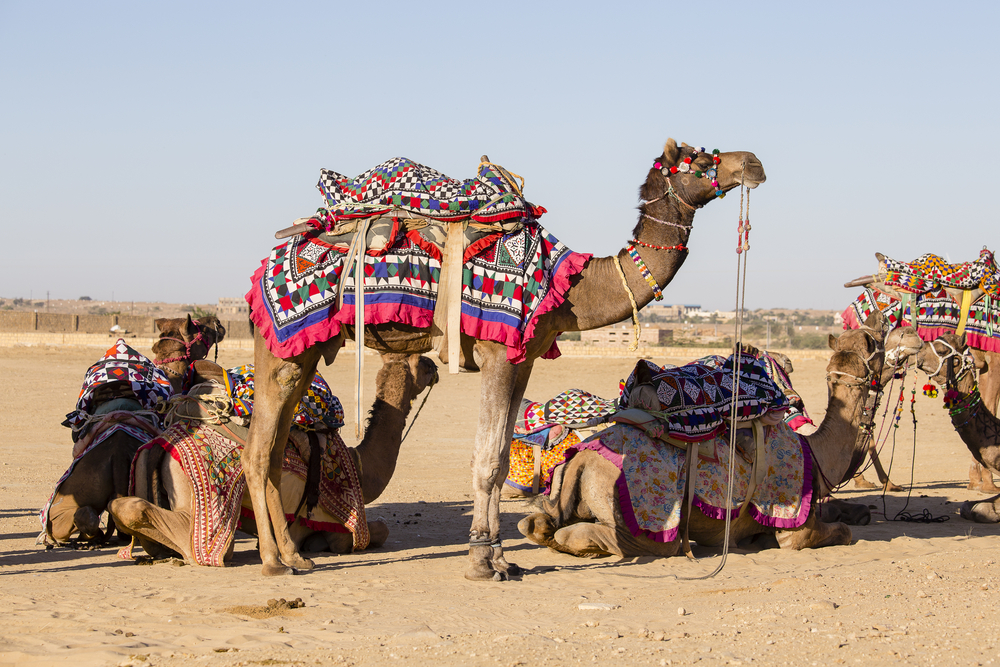 Image result for jaisalmer festival