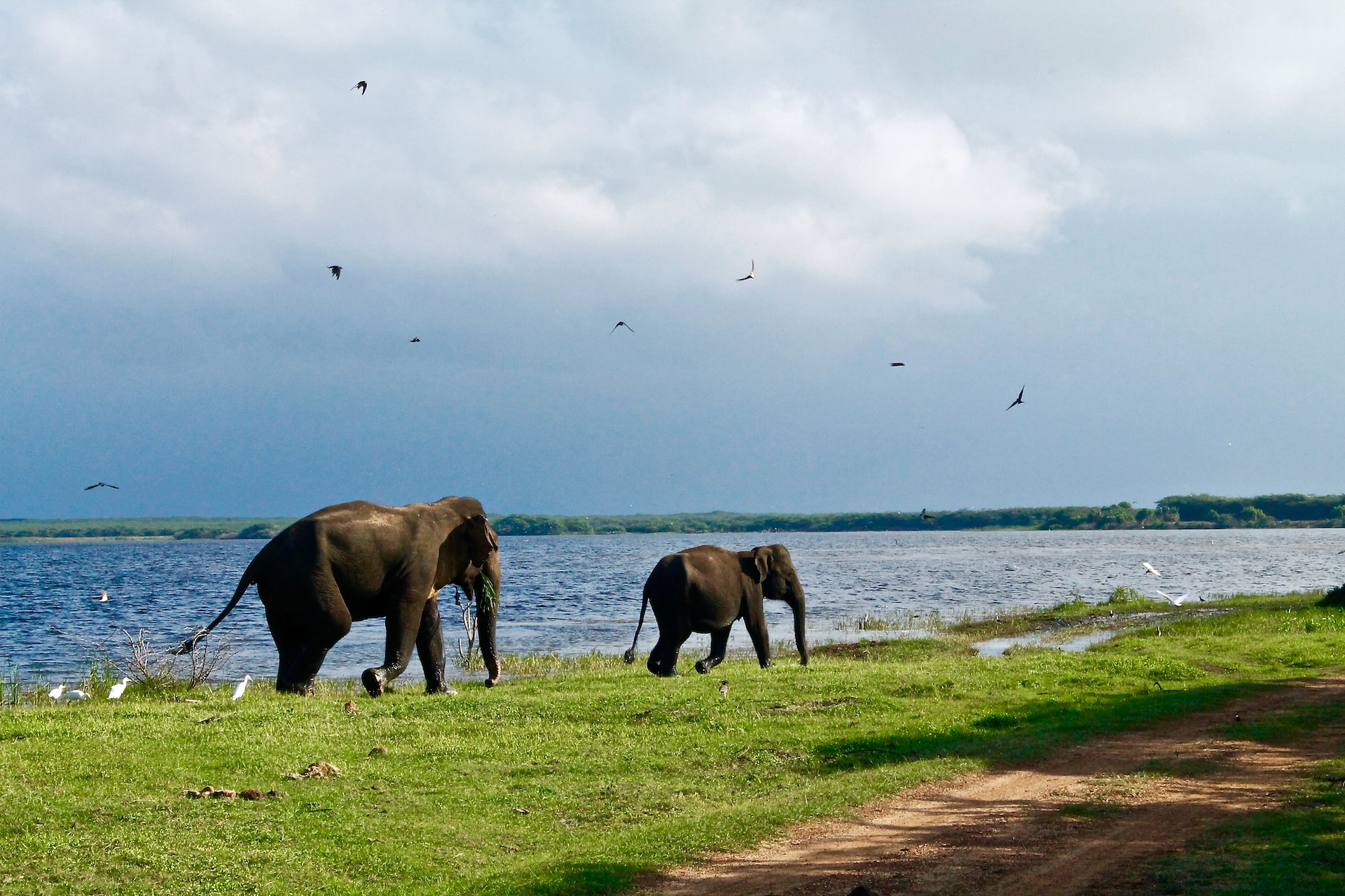 Experience Sri Lanka
