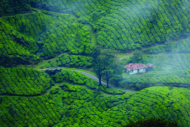 Journey Through Kerala