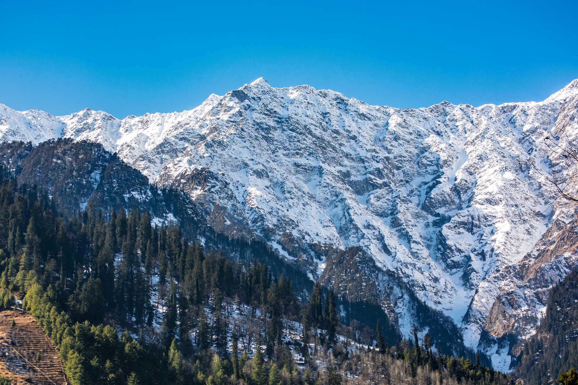 Manali Odyssey
