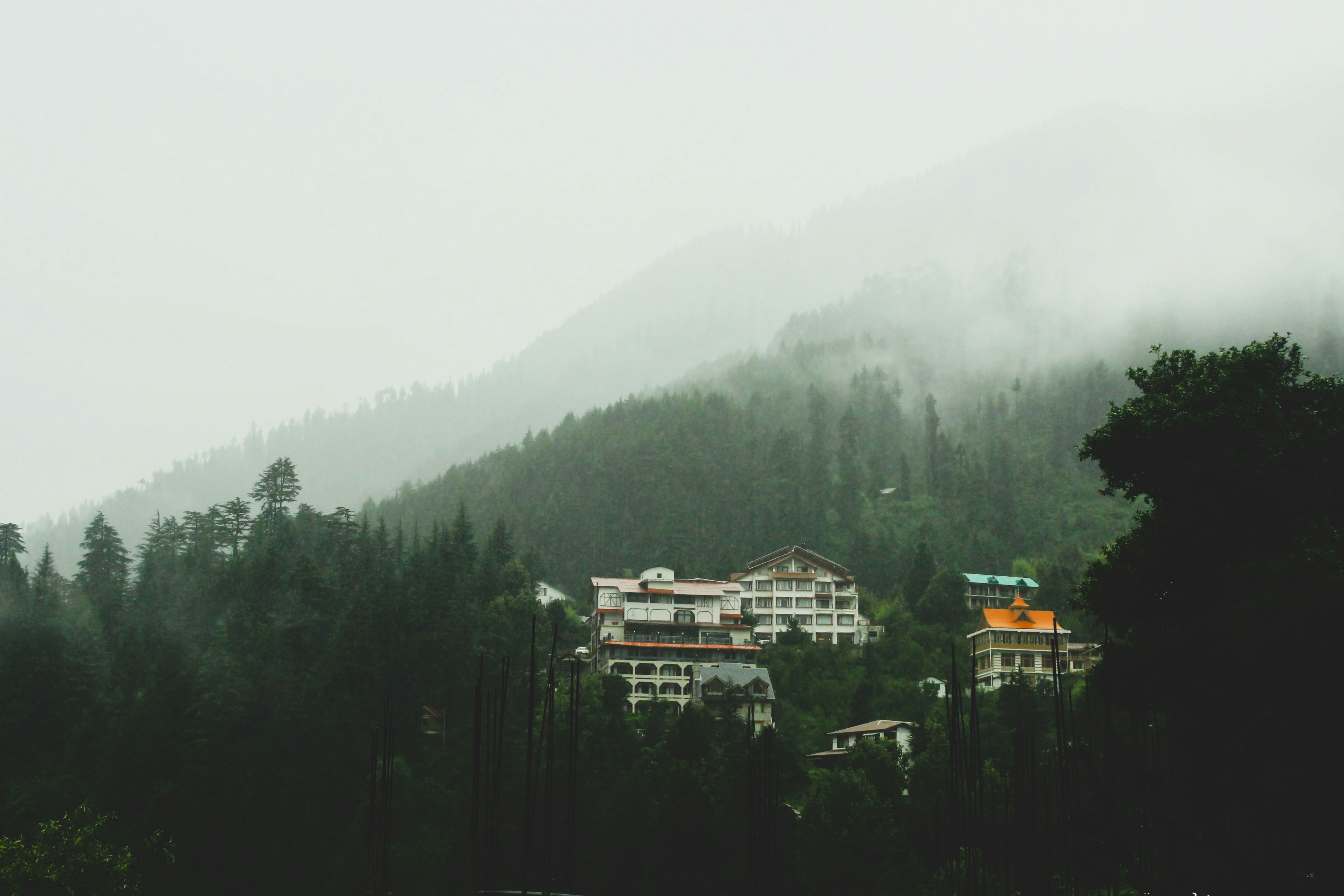 Misty Manali