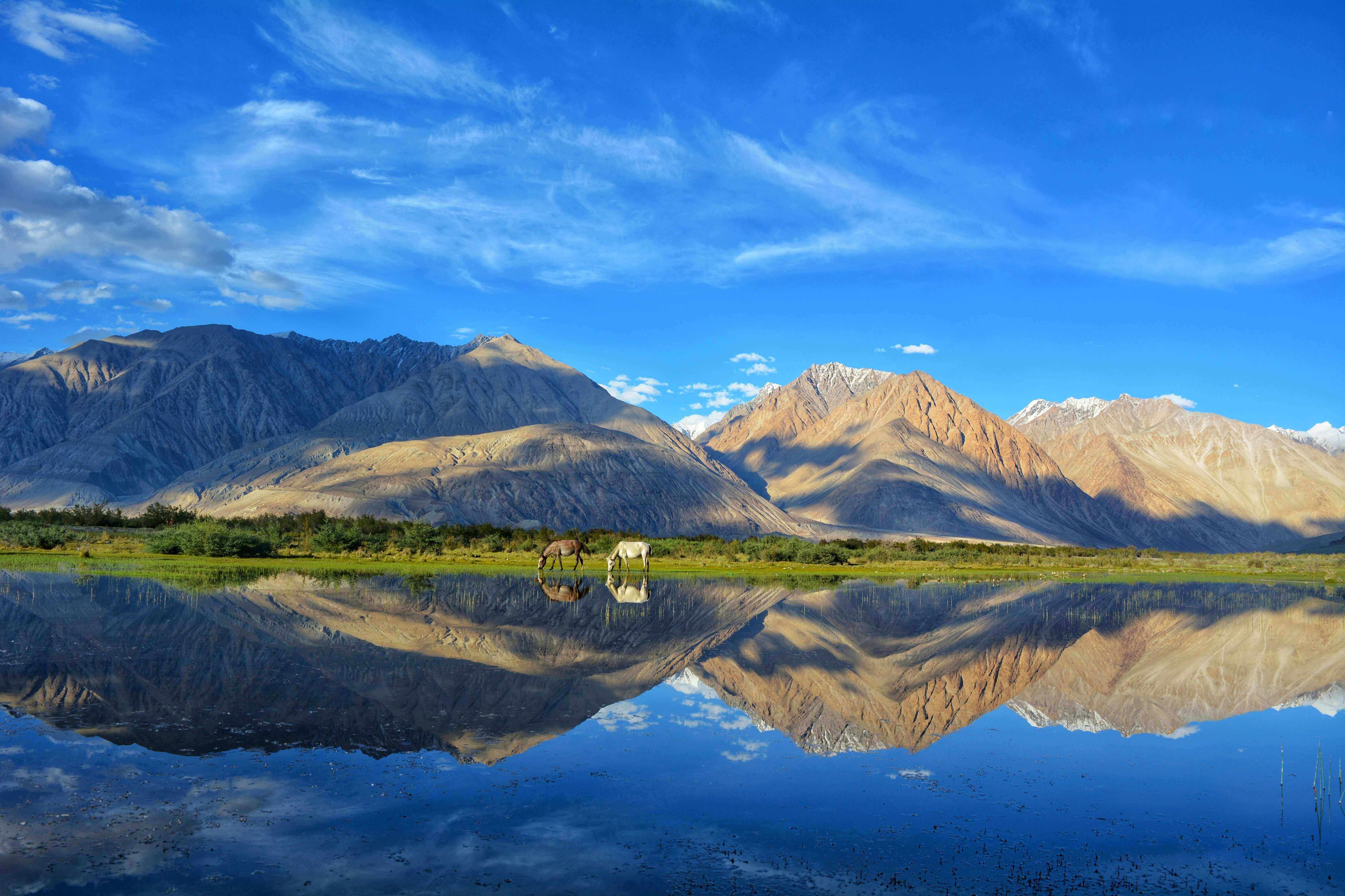 Luxury Ladakh