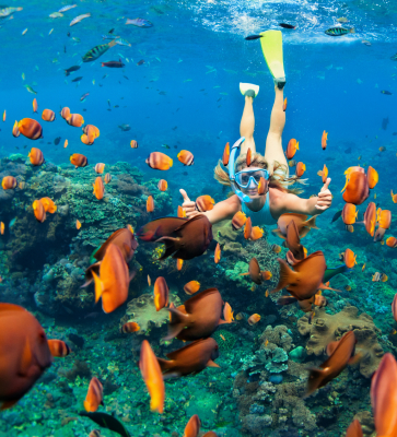Andaman Image