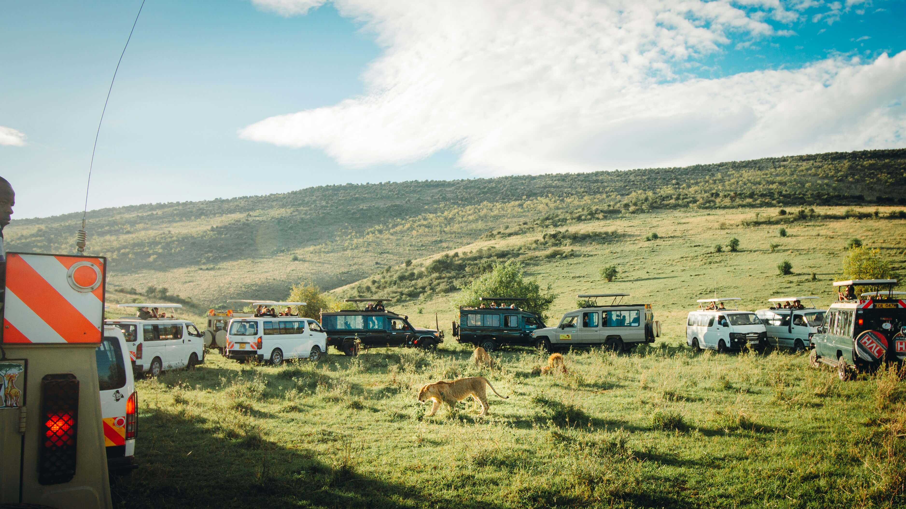 The Big & Special Five: Maasai mara