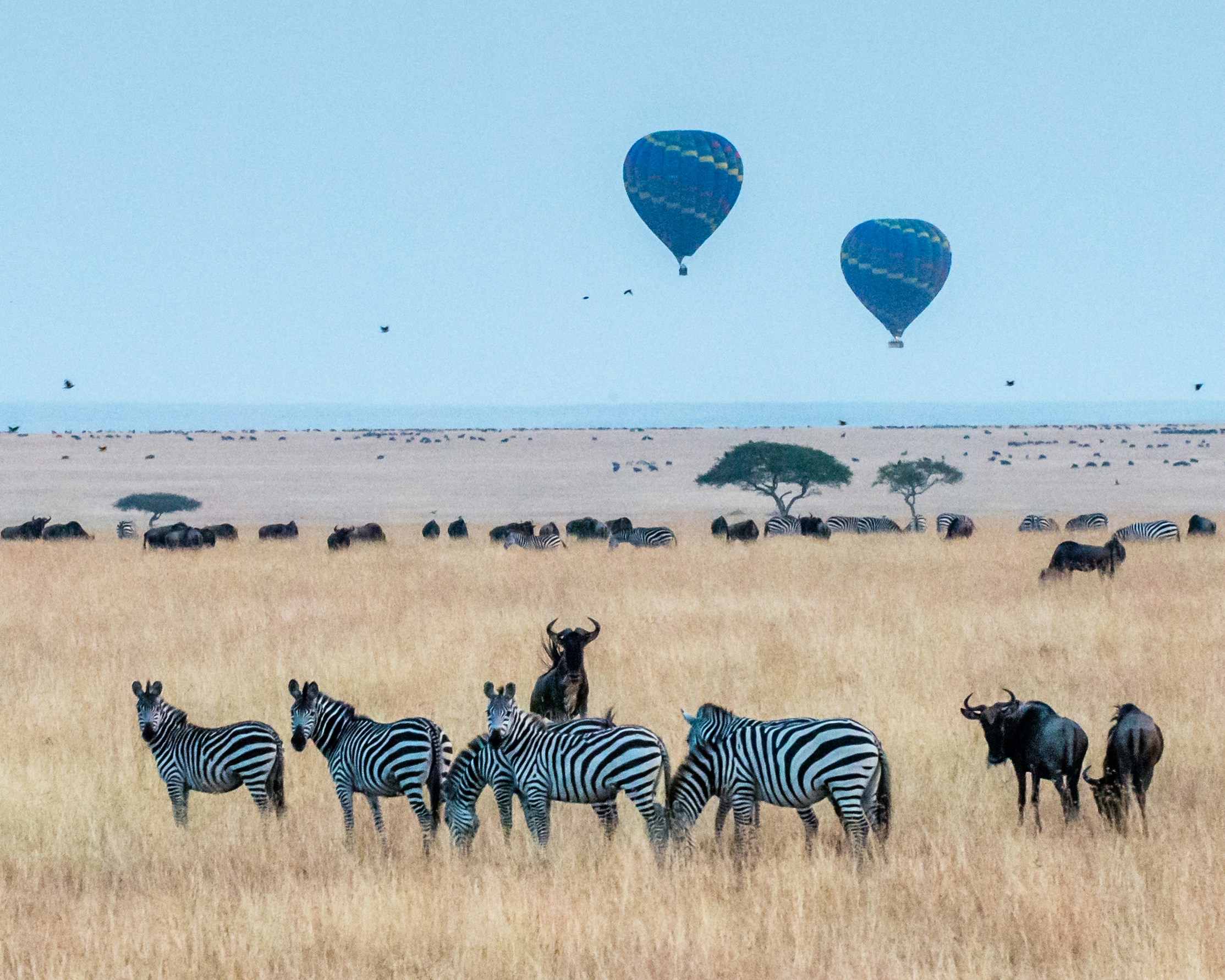 Tusks & Trails: Kenya