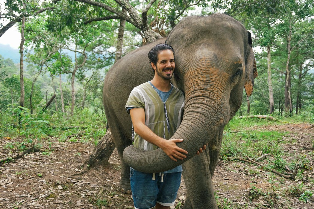 Kuala Lumpur with Elephant Sanctuary Tour